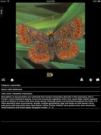 Imagen 4 para Butterfly Encyclopedia