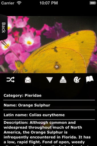 Imagen 2 para Butterfly Encyclopedia
