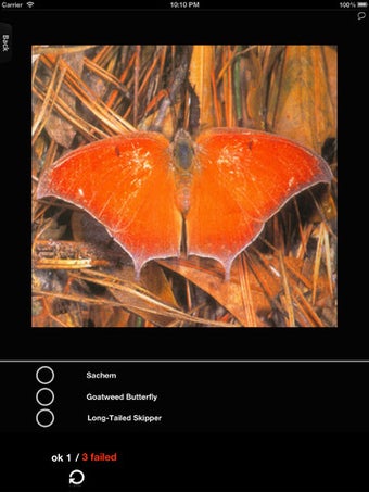 Imagen 3 para Butterfly Encyclopedia