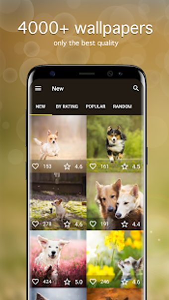 Imagen 2 para Dog Wallpapaers & Puppy B…