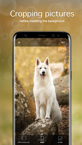 Imagen 0 para Dog Wallpapaers & Puppy B…