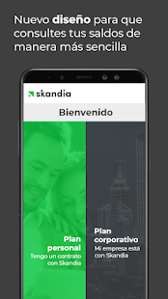 Image 3 for SKANDIA NET MX