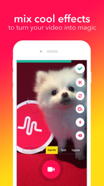 Image 0 for musical.ly - your video s…