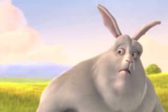 Image 0 for Big Buck Bunny - Movie Ap…