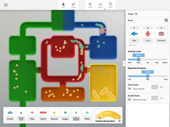 Image 0 for Metabolism Sim