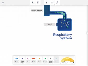 Image 1 for Metabolism Sim