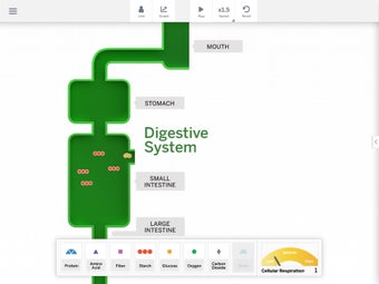 Image 2 for Metabolism Sim