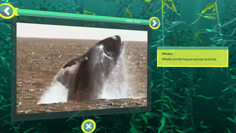 Image 3 for PI VR Oceans