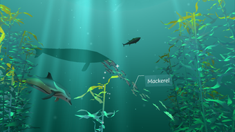 Image 2 for PI VR Oceans