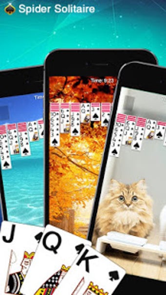 Image 2 for Spider Solitaire