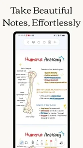Freenotes - Notes Taking PDF APK para Android - Descargas gratis y ...
