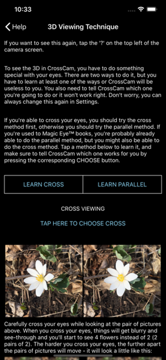 Image 2 for CrossCam