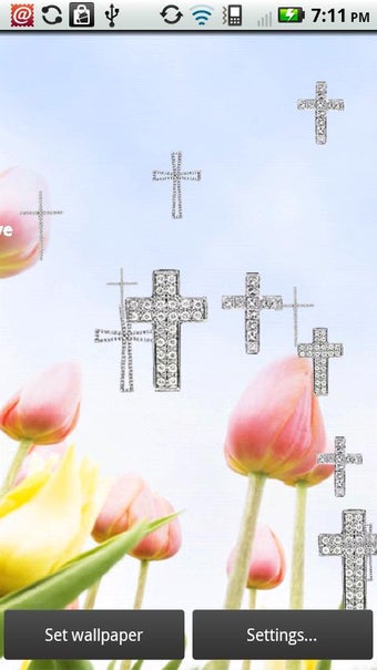 Imagen 0 para Diamond Crosses Live
