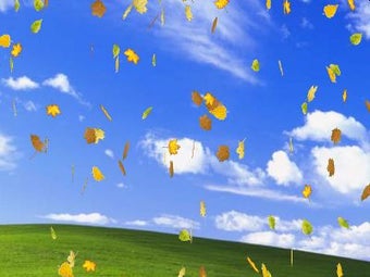 Image 0 for 3D Leaves Screensaver