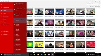 Image 2 for RedTube Video Downloader …