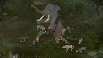 Image 3 for Wild Animals Online(WAO)