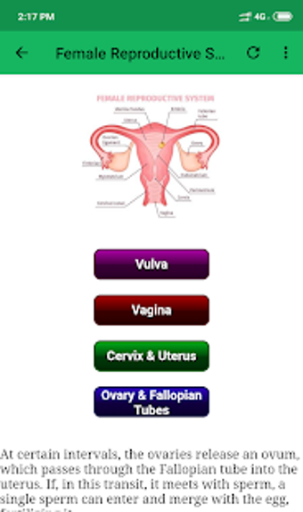 Image 1 for Human Body Systems