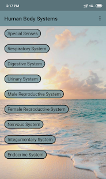 Image 0 for Human Body Systems