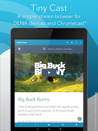 Imagen 1 para Tiny Cast Browser - Cast …