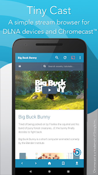 Imagen 0 para Tiny Cast Browser - Cast …