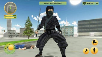 Image 0 for Ninja Warrior