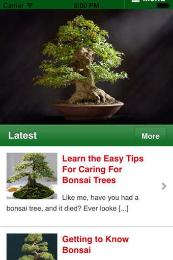Imagen 0 para Bonsai Basics - Learn All…