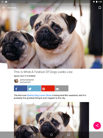 Image 1 for BuzzFeed