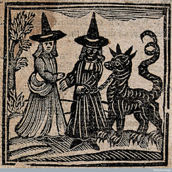 Image 1 for witchcraft for beginners