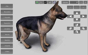 Imagen 0 para 3D Canine Anatomy