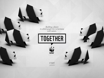Image 3 for WWF Together