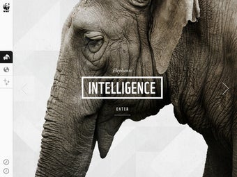 Image 2 for WWF Together