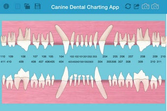 Image 0 for Pet Dental Charting- For …