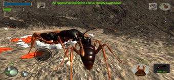 Imagen 0 para Ant Simulation Full