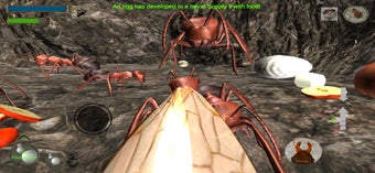 Imagen 1 para Ant Simulation Full