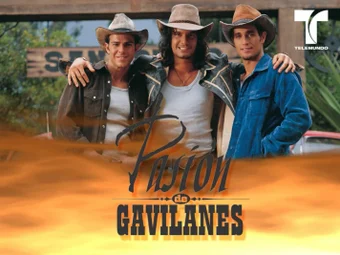 Image 0 for Pasion de Gavilanes