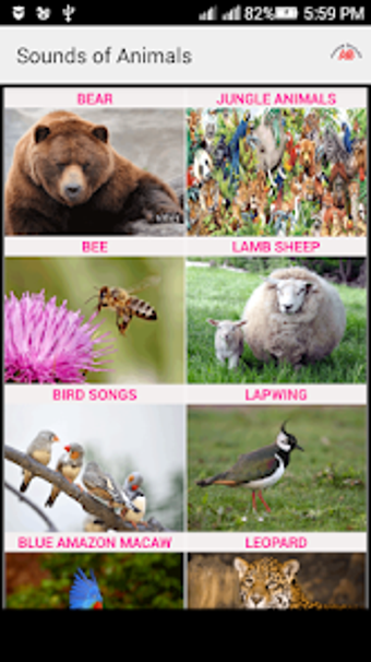 Image 0 for Sounds of Animals and Bir…