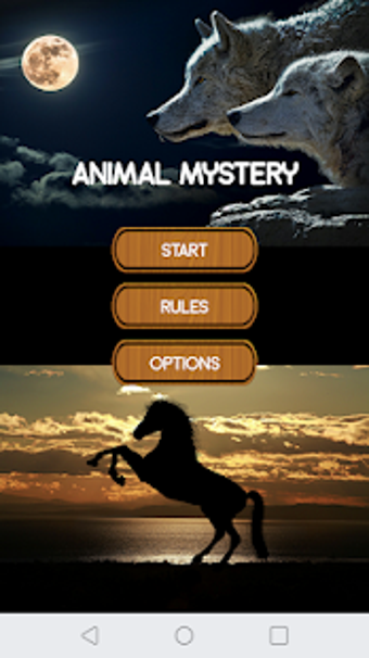 Image 2 for Animal Mystery