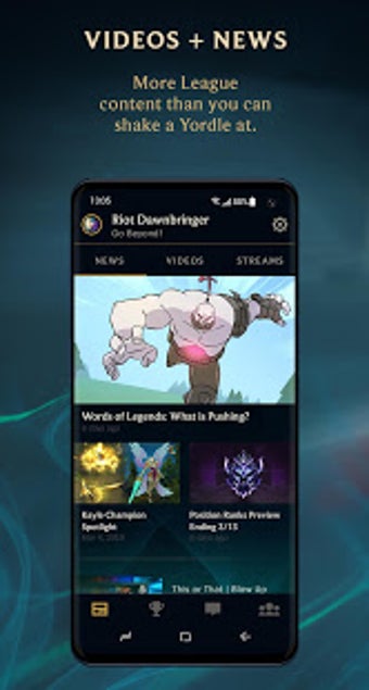 Imagen 0 para League Friends