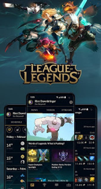 Imagen 2 para League Friends
