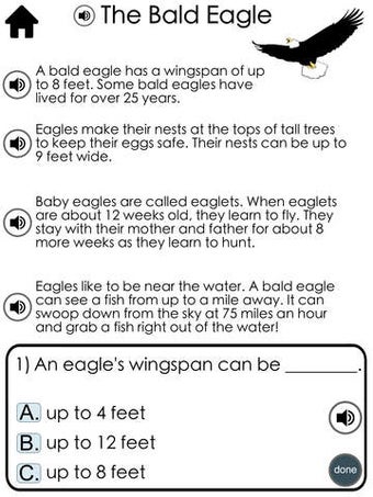 Image 0 for Reading Comprehension Pas…