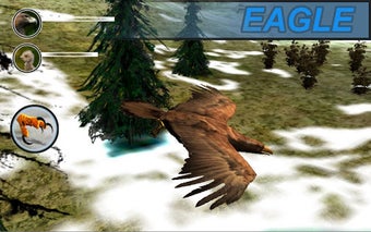 Image 0 for eagle SURVIVAL vr SIM