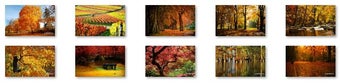Imagen 0 para Autumn Colors Windows 7 T…