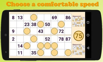 Image 0 for Russian Loto - 90 Ball Bi…
