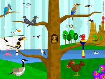Imagen 0 para Birds Birds Birds