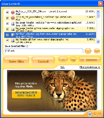 Imagen 0 para Flash and Media Capture