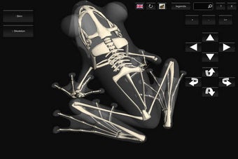 Image 0 for 3D Frog Skeleton