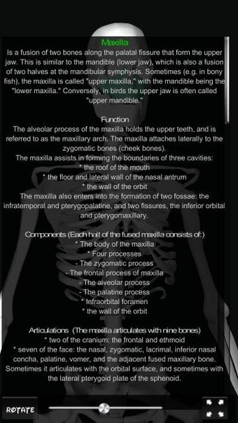 Image 1 for Human Bones 3D (anatomy)