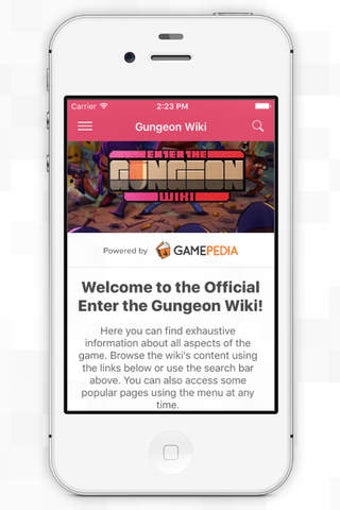 Image 0 for Official Enter the Gungeo…
