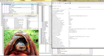 Image 0 for DataView