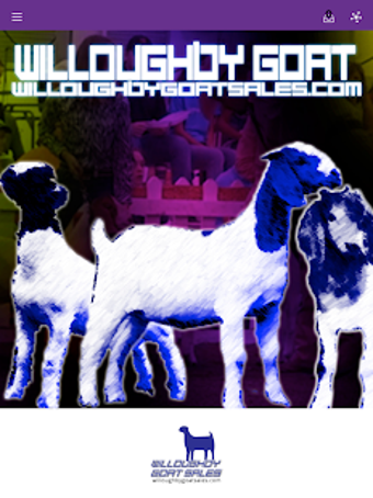 Image 3 for Willoughby Livestock